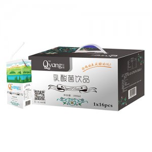 輕陽發酵乳酸菌飲品禮盒