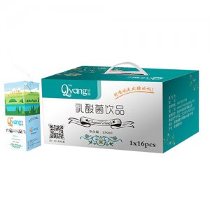 輕陽乳酸菌飲品禮盒裝