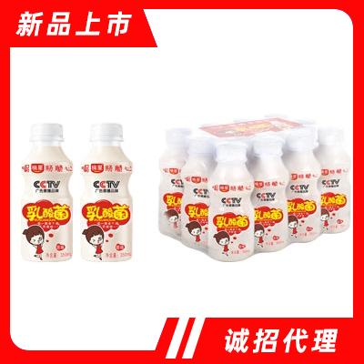 楠星乳酸菌350ml