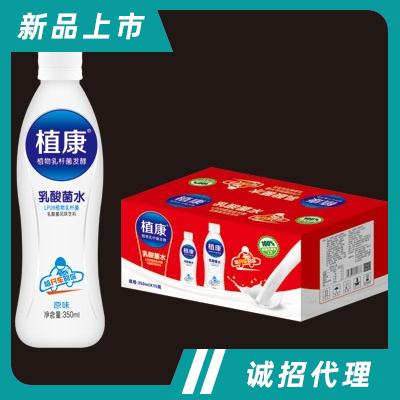 植康乳酸菌水飲品350mlX12