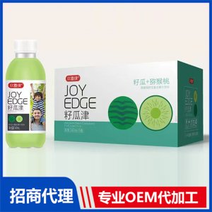 獼猴桃籽瓜復合果汁飲料1OEM/ODM定制代加工