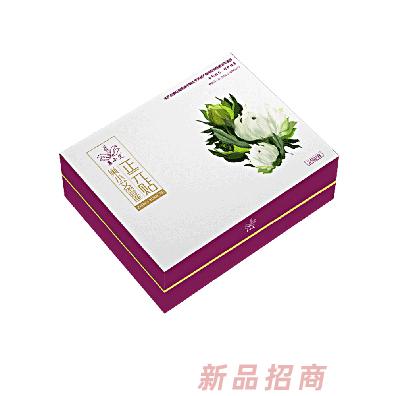 巢小艾雪蓮正元貼 24貼裝