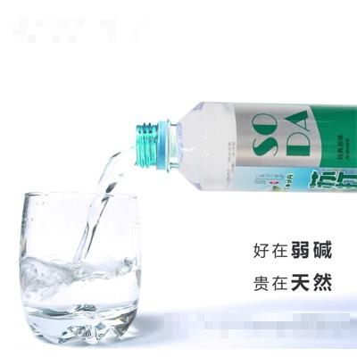保興泉經典原味蘇打水瓶裝