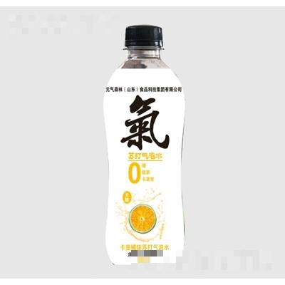 元氣森林（山東）食品科技集團有限公司