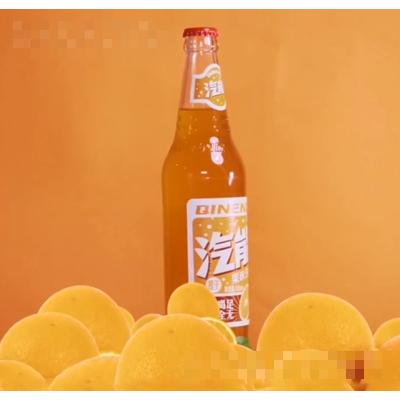 四川汽能食品科技有限公司