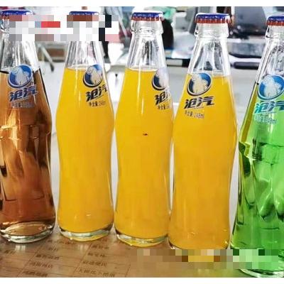 滄汽汽水瓶裝248ml