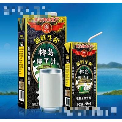 海南椰島食品飲料有限公司