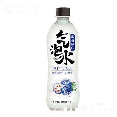 藍莓風味蘇打氣泡水480ml