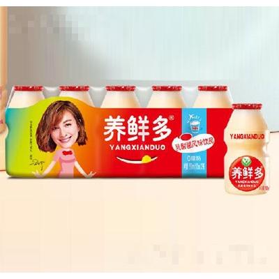 養鮮多乳酸菌飲品5瓶裝