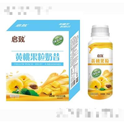 啟致黃桃果粒酸奶310ml×10瓶