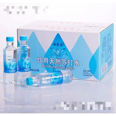 河北梨鄉禧源水業有限公司