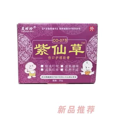 武漢維嘉康醫療技術有限公司