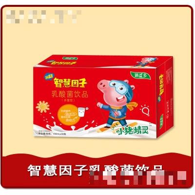 養淳智慧因子乳酸菌