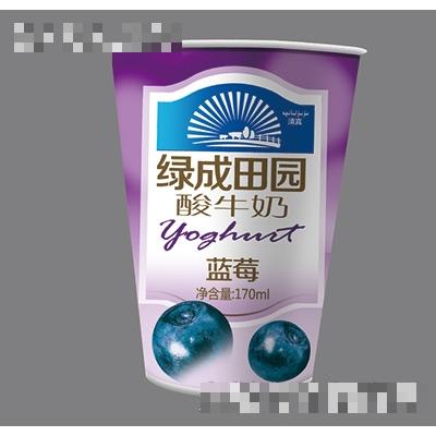 綠成田園酸牛奶藍莓170ml