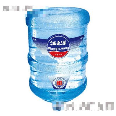 汪之洋純凈水-5加侖