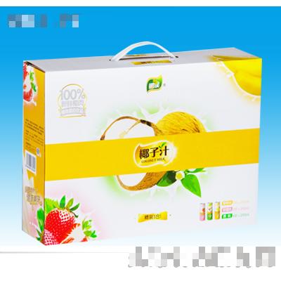 海南椰龍食品工業有限公司椰能事業部