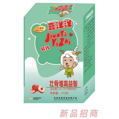 安徽全康藥業有限公司
