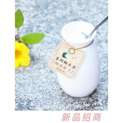 果不離生榨椰子凍酸奶味