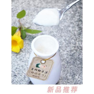 果不離生榨椰子凍（椰奶布丁）