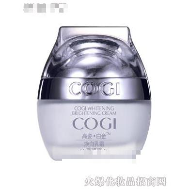 上海新高姿化妝品有限公司