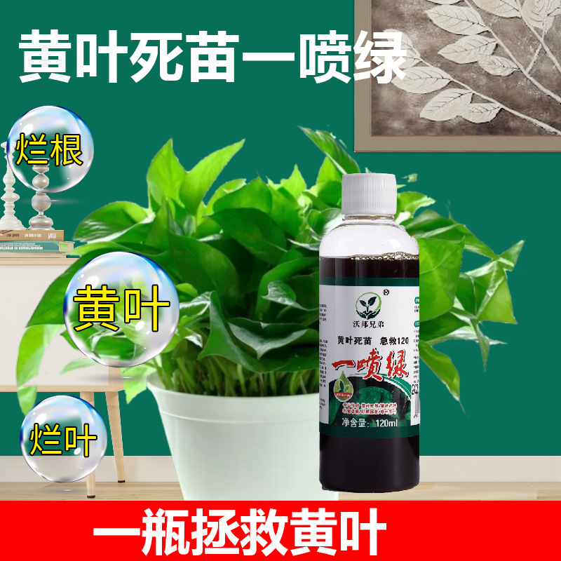 發財樹專用營養液金錢樹室內植物肥料