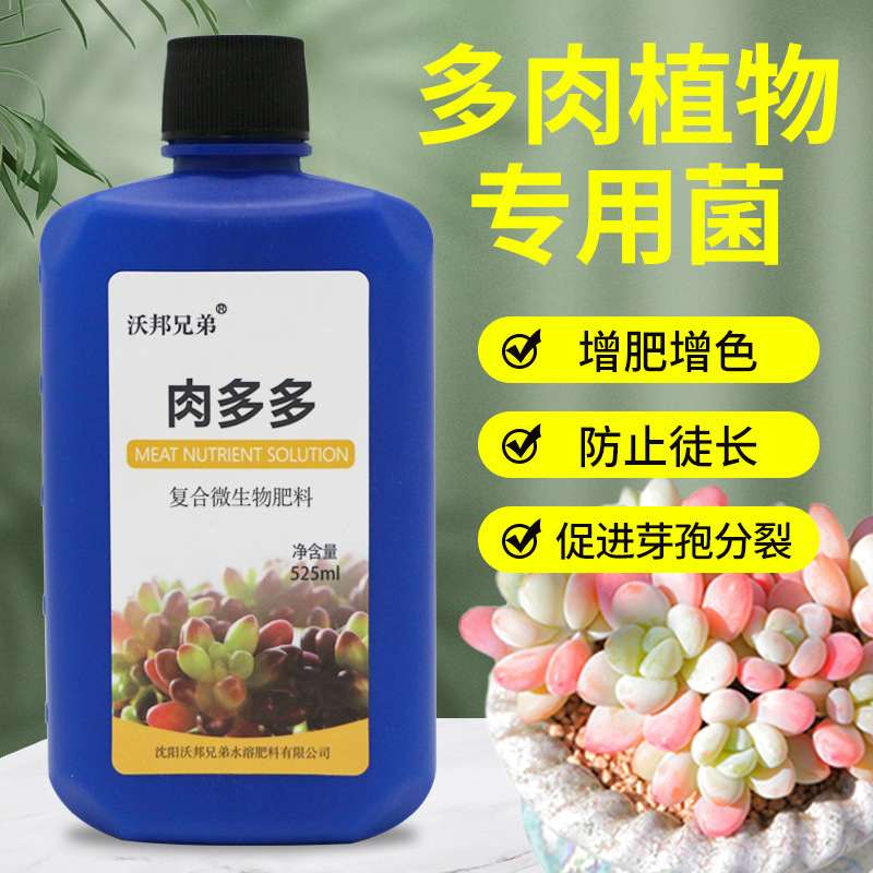 肉多多營養液專用型