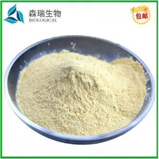 酵母抽提物 酵母提取物 YE 調味劑 安琪酵母 酵母味素 8013-01-2OEM代工