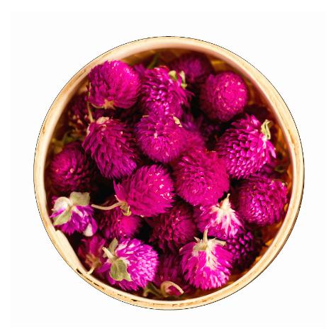 千日紅花500goem代工