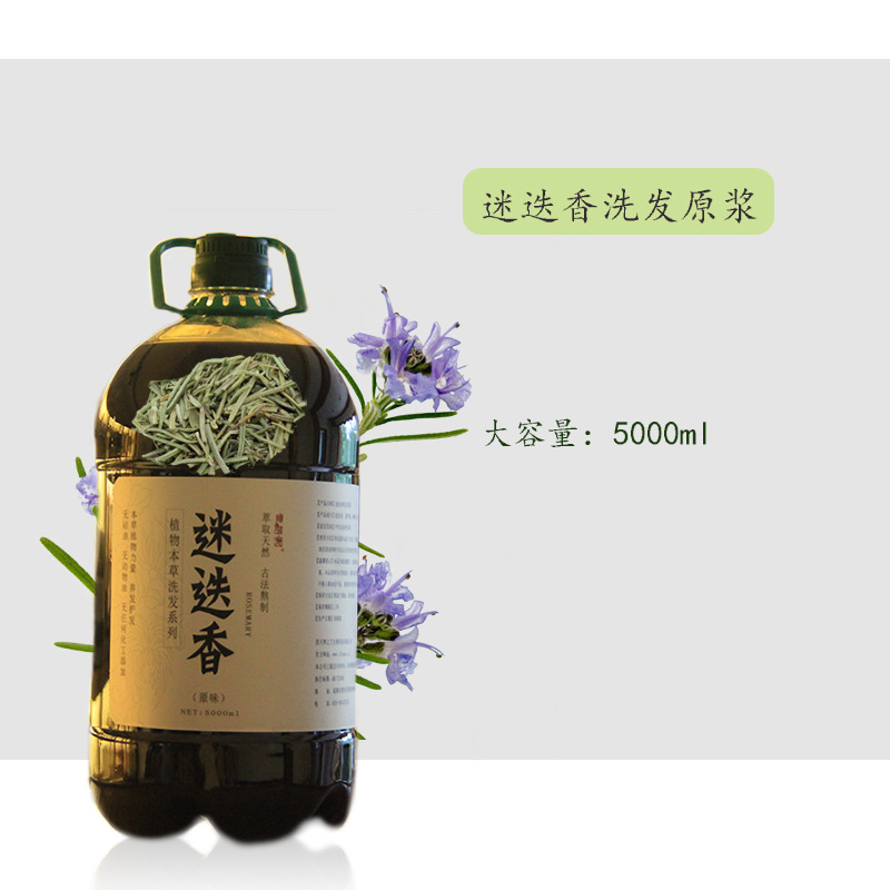 雪萊昵植物本草迷迭香原漿5000ml 洗發水 oem代加工