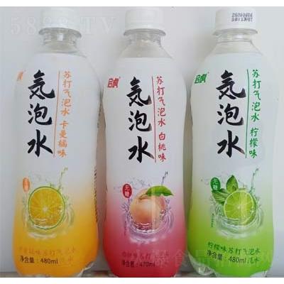 啟虎蘇打氣泡水480ml碳酸飲料招商代理商超貨源批發OEM代加工