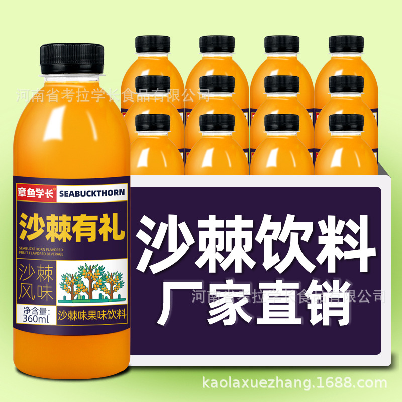 沙棘味果味飲料360ml瓶裝爆款一件代發廠家直銷沙棘汁OEM代加工