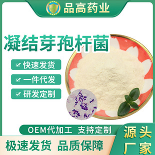 凝結(jié)芽孢桿菌OEM代加工