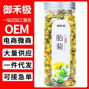 胎菊 罐裝40g 菊花茶 袋泡茶花茶葉批發禮盒裝花草茶 組 合茶代發