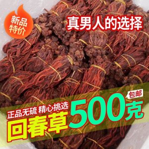 云南回春草野生500克 新貨正品擎天柱回春草批發(fā)價(jià) 干貨 一手貨源