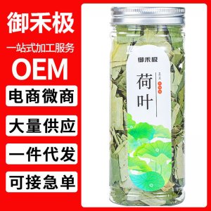 御禾極 荷葉茶罐裝20g干荷葉廠家直供O EM貼 牌一件代發批發