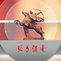 河南省張弓酒業有限公司