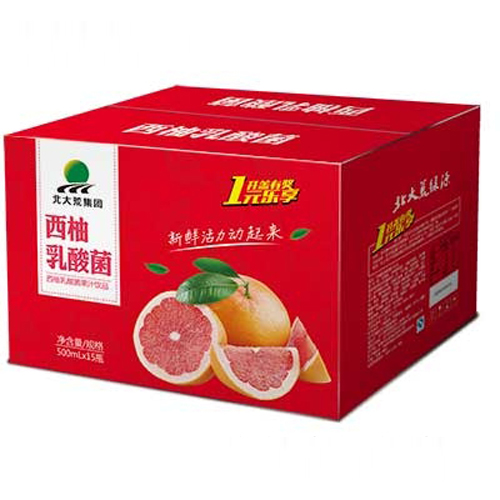 北大荒集團西柚乳酸菌果汁飲料500mlx15瓶.jpg