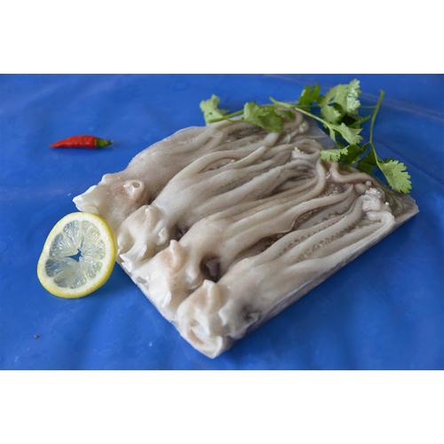 魷魚頭.jpg