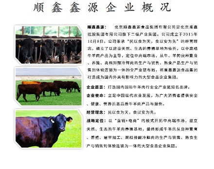 鑫源食品-醬牛肉_08.jpg