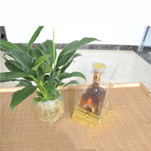 大竹國液酒-大瓶1.jpg
