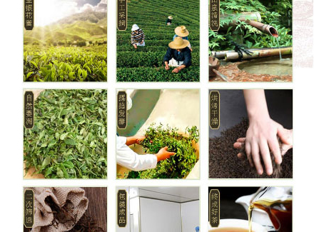 以嶺金銀花紅茶_06.jpg