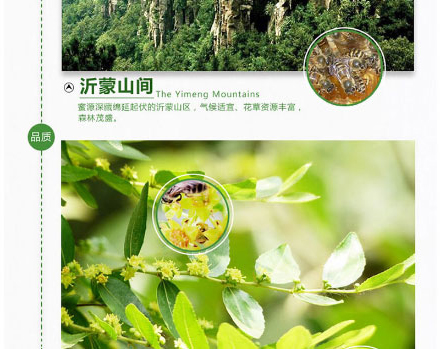 以嶺牌棗花蜂蜜_05.jpg