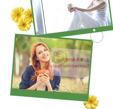 以嶺菊花茶珍_12.jpg