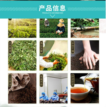 以嶺連花清菲袋泡茶_04.jpg