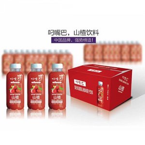 廣東中飲食品有限公司