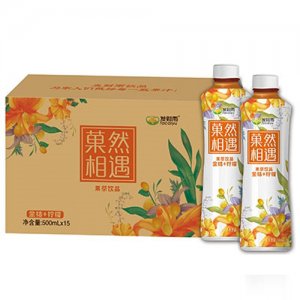 發財雨菓然相遇金桔檸檬茶500mlx15