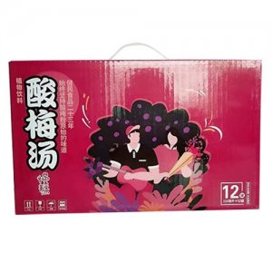 健民酸梅湯310mlx12