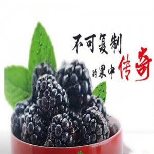 烏椹干紅.1