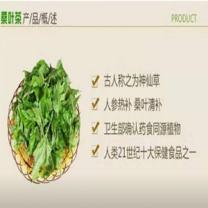 桑葉茶.1