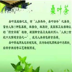 桑葉茶.3